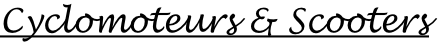 Cyclomoteurs & Scooters
